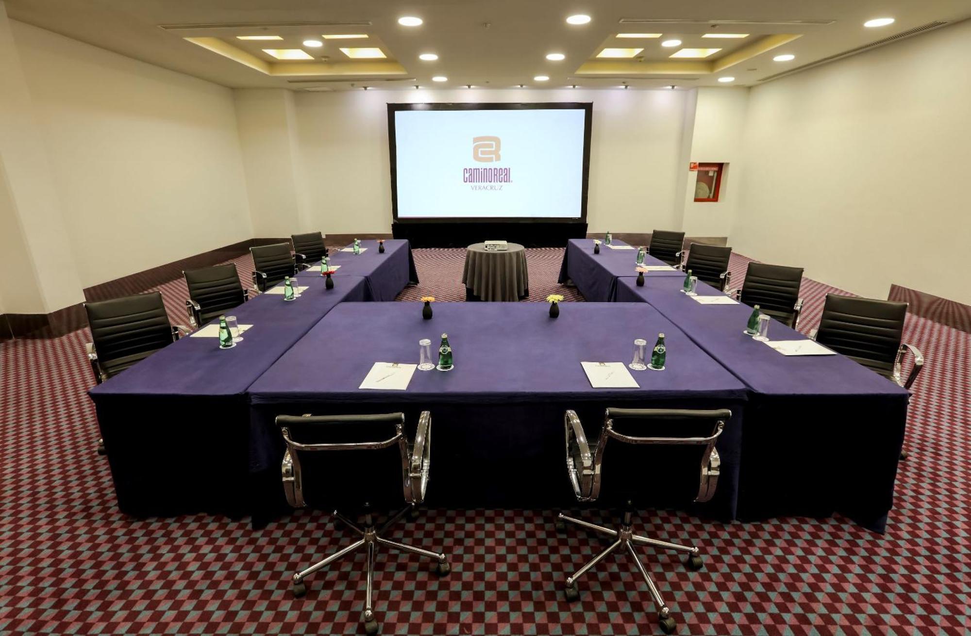 卡米诺睿尔韦拉克鲁斯酒店 外观 照片 Meeting room